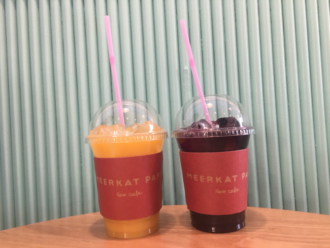 Meerkat Park Photos 2